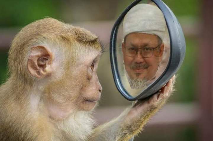 Dikirim Foto Monyet Bercermin Dirinya, Ini Respon Tak Terduga KH Tengku Zulkarnain